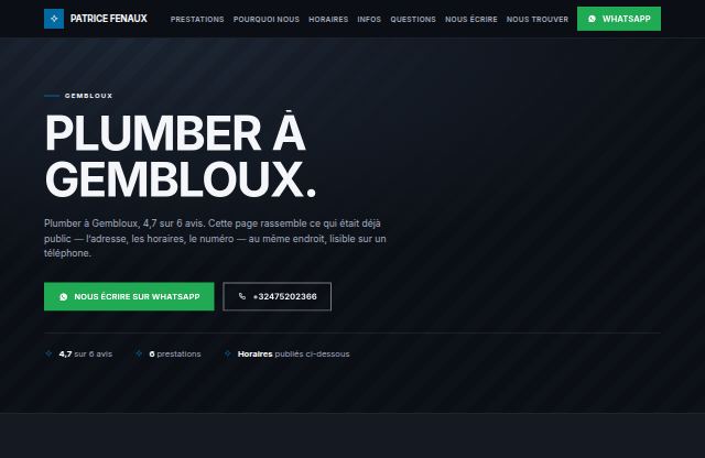 Page d’accueil du site de Patrice Fenaux SRL